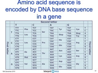 16th December 2015
Amino acid sequence is
encoded by DNA base sequence
in a gene
Thirdletter
G
A
C
T
G
A
C
T
G
A
C
T
G
A
C
T
Gly
Arg
Ser
Arg
Trp
Stop
Cys
GACT
GGGGAGGCGGTG
GGA
Glu
GAAGCAGTA
GGCGACGCCGTC
GGT
Asp
GAT
Ala
GCT
Val
GTT
G
AGGAAGACGMetATG
AGA
Lys
AAAACAATA
AGCAACACCATC
AGT
Asn
AAT
Thr
ACT
Ile
ATT
A
CGGCAGCCGCTG
CGA
Gln
CAACCACTA
CGCCACCCCCTC
CGT
His
CAT
Pro
CCT
Leu
CTT
C
TGGTAGTCGTTG
TGA
Stop
TAATCA
Leu
TTA
TGCTACTCCTTC
TGT
Tyr
TAT
Ser
TCT
Phe
TTT
T
Firstletter
Second letter
51
 