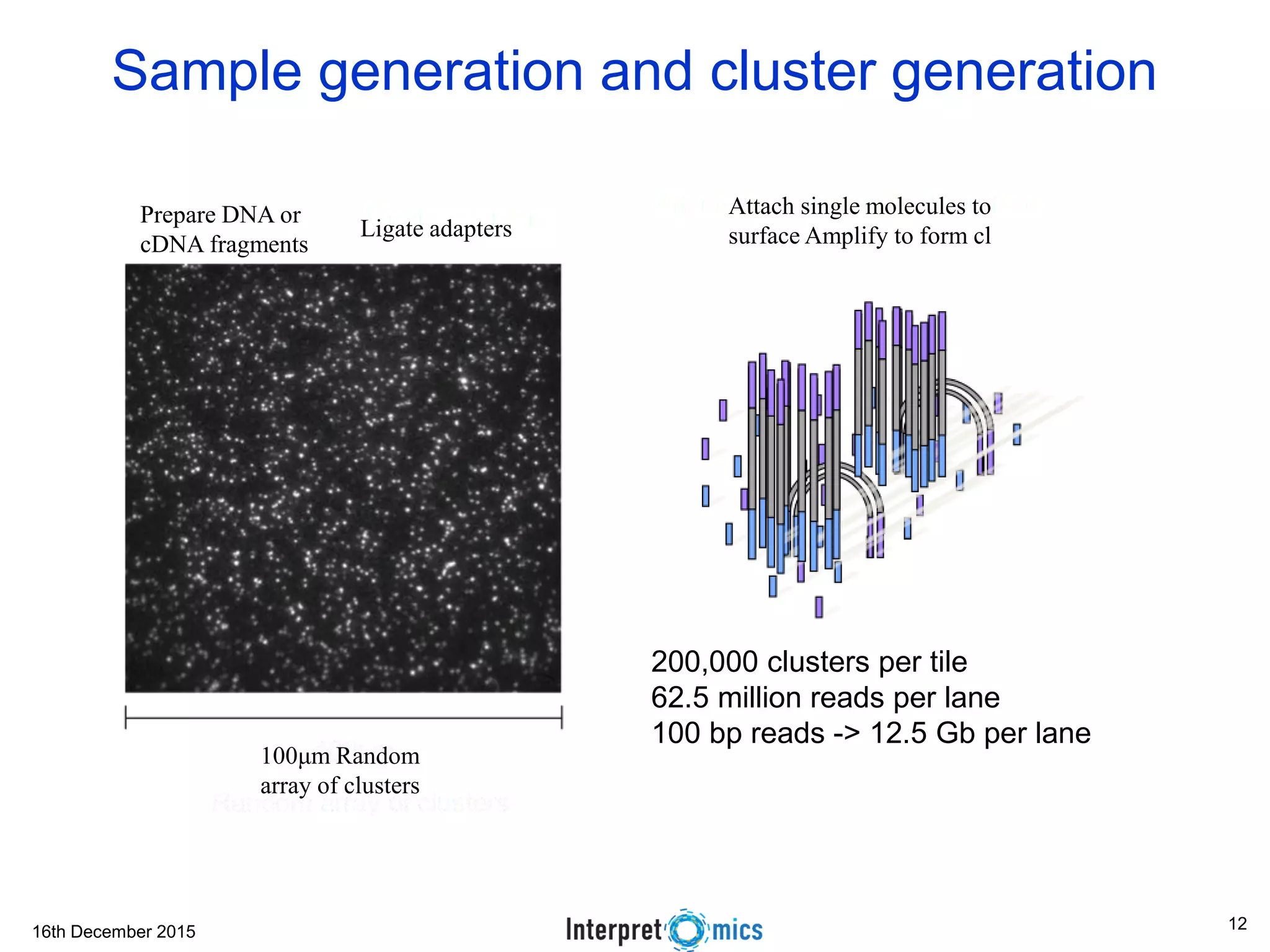 16th December 2015 Sample generation and cluster generation 200,000 clusters per tile 62.5 million reads per lane 100 bp reads -> 12.5 Gb per lane Prepare DNA or cDNA fragments Ligate adapters 100μm Random array of clusters Attach single molecules to surface Amplify to form cl 12 