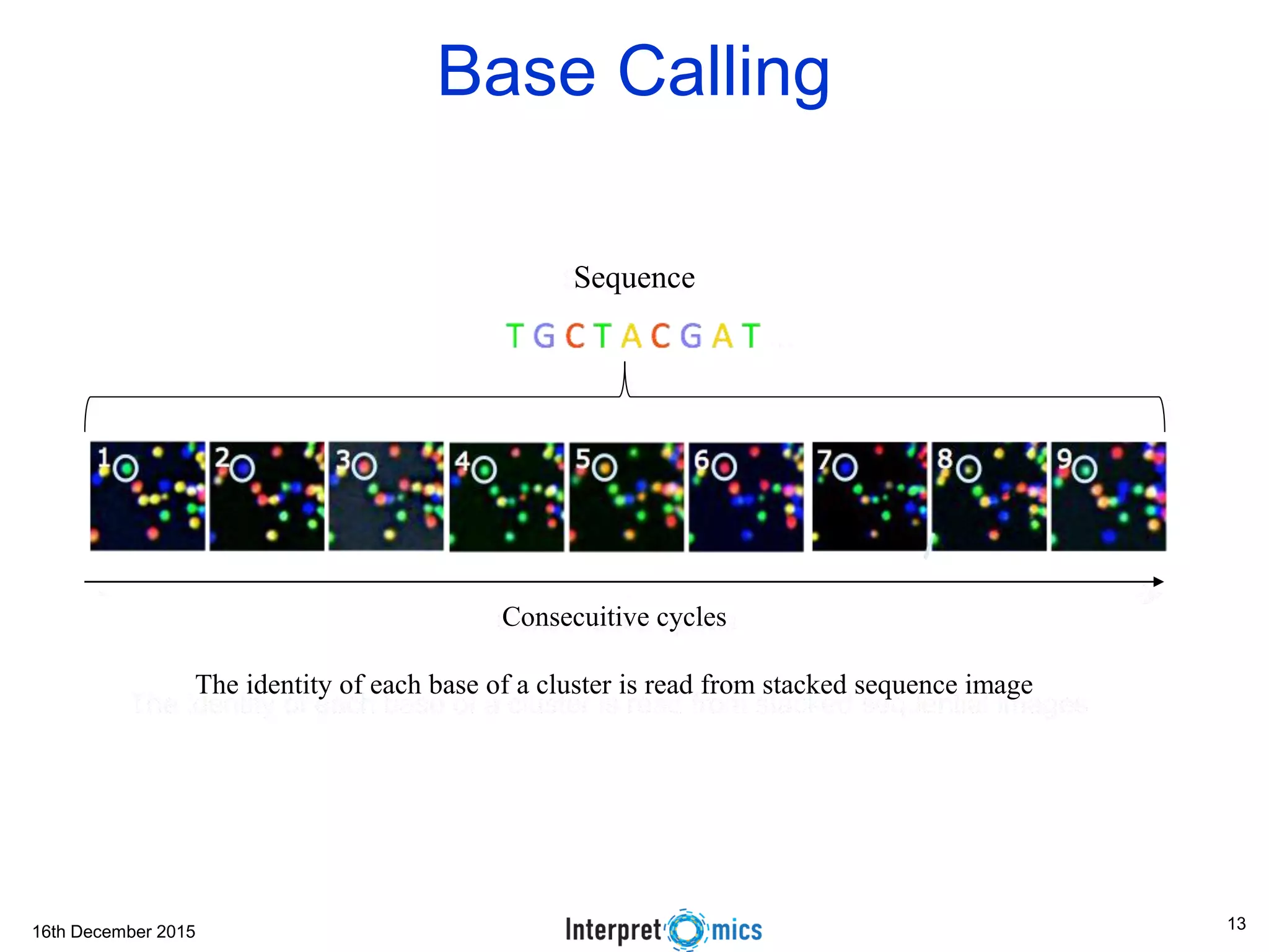 16th December 2015 Base Calling Consecuitive cycles The identity of each base of a cluster is read from stacked sequence image Sequence 13 