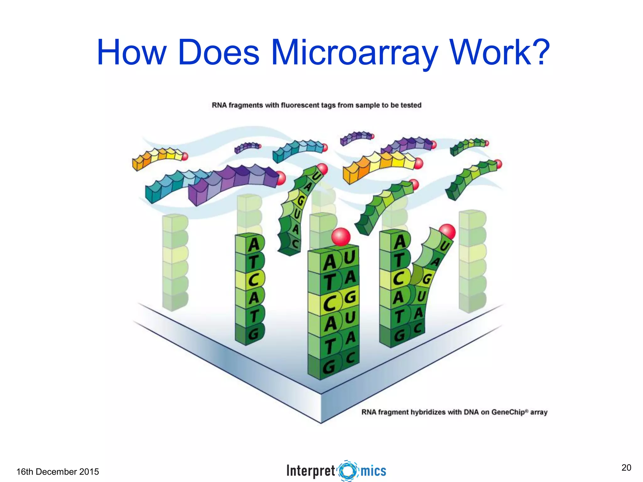 16th December 2015 How Does Microarray Work? 20 