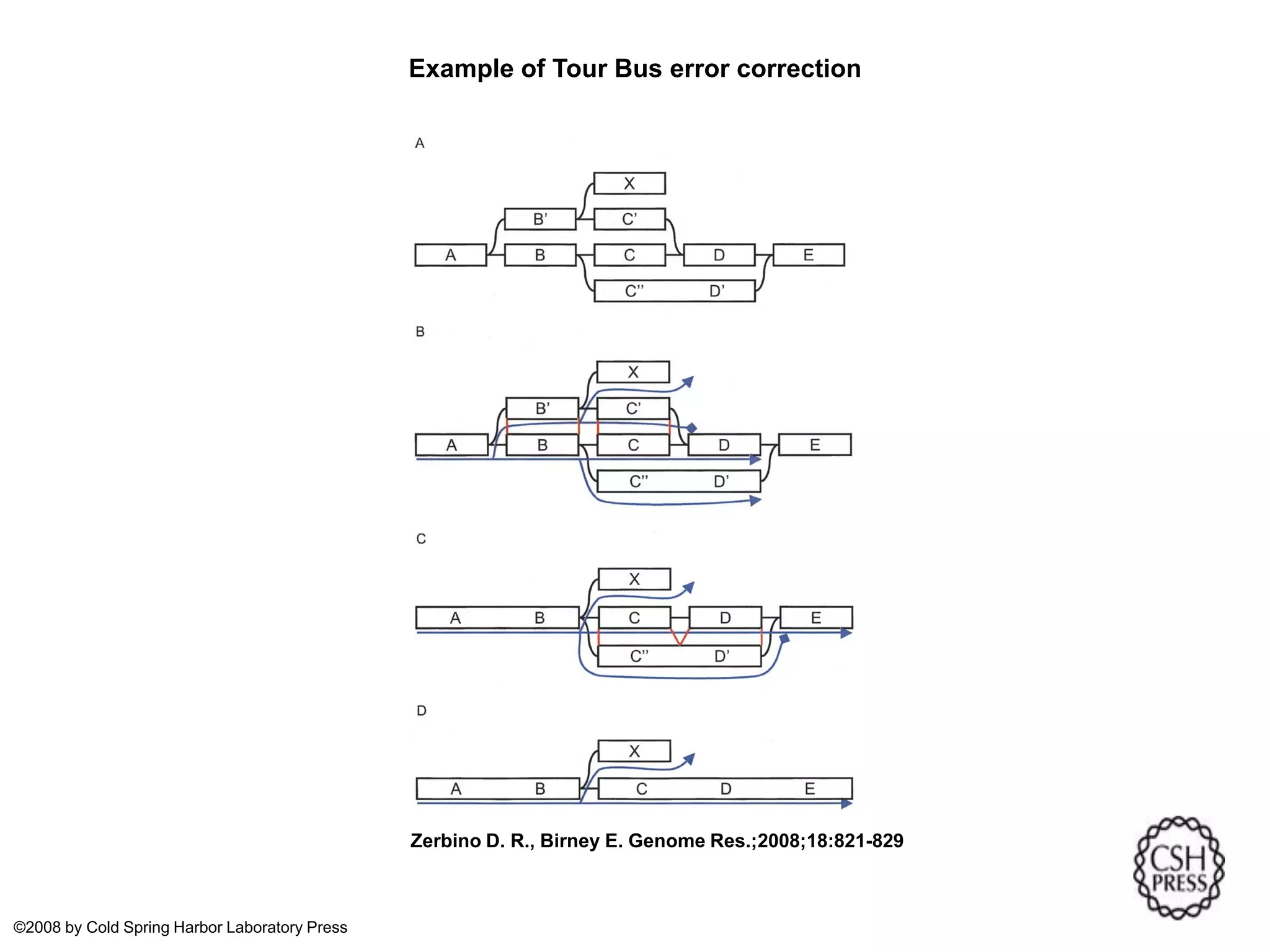 Example of Tour Bus error correction Zerbino D. R., Birney E. Genome Res.;2008;18:821-829 ©2008 by Cold Spring Harbor Laboratory Press 