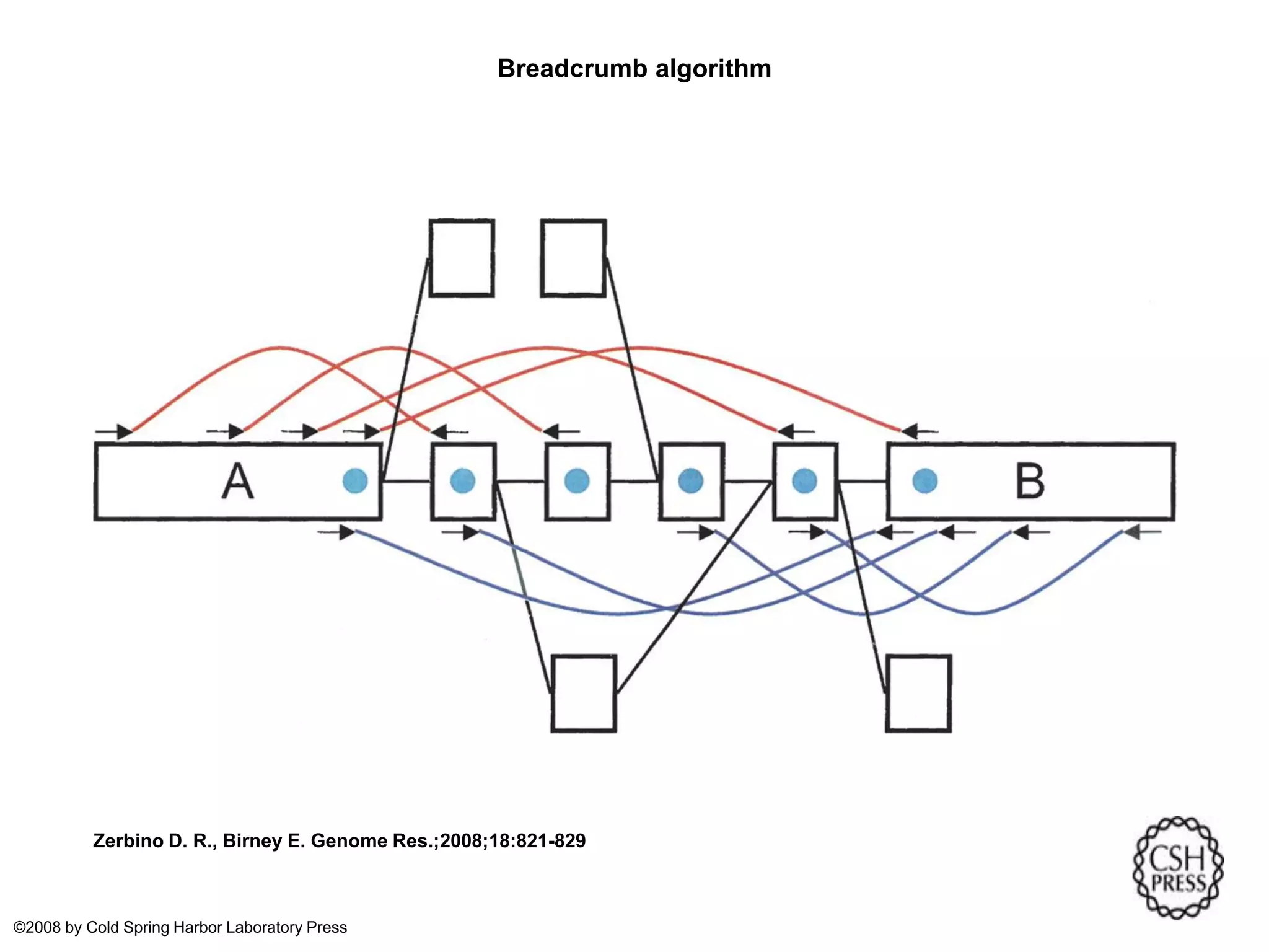 Breadcrumb algorithm Zerbino D. R., Birney E. Genome Res.;2008;18:821-829 ©2008 by Cold Spring Harbor Laboratory Press 