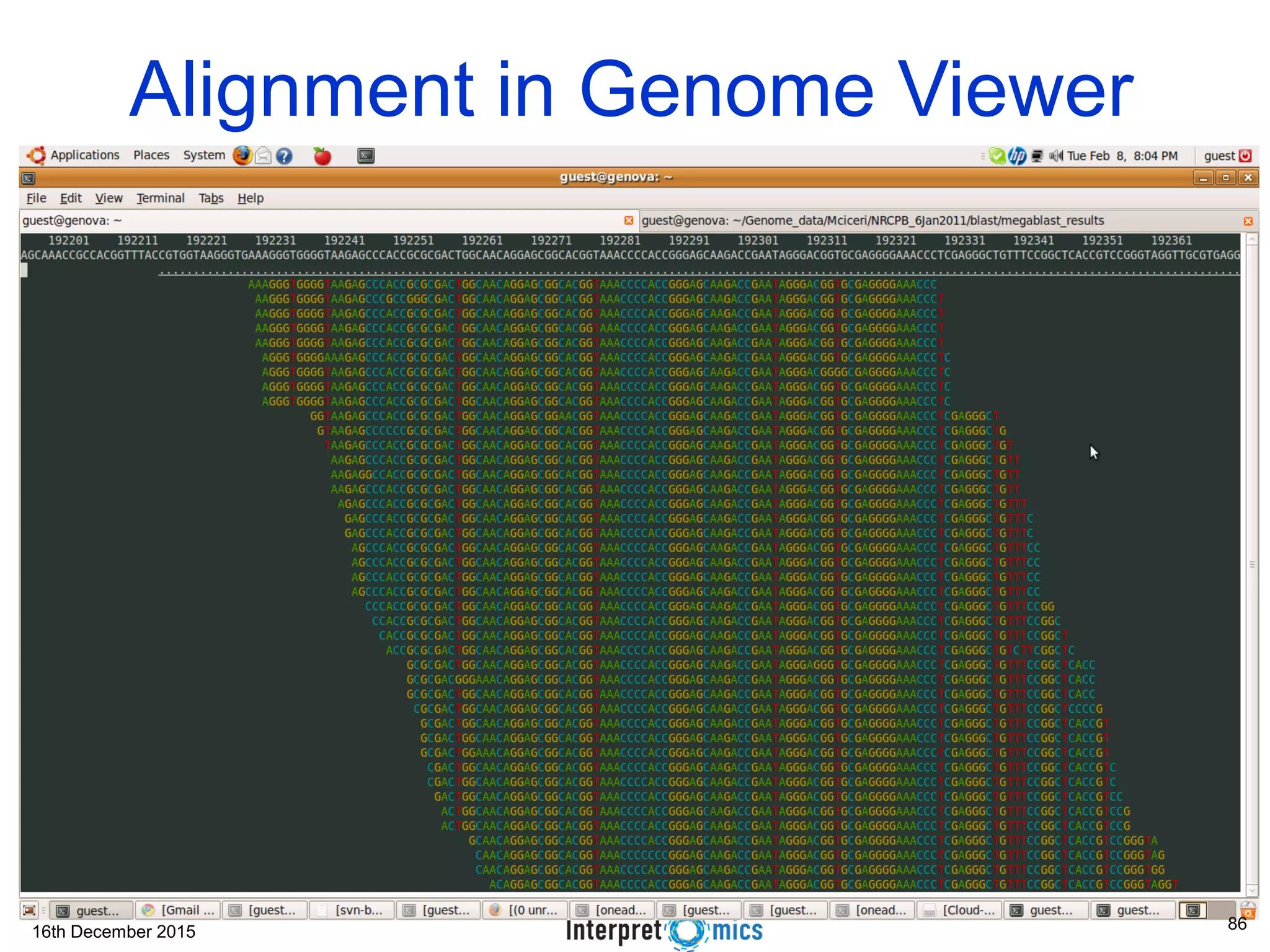 16th December 2015 Alignment in Genome Viewer 86 