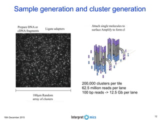 16th December 2015
Sample generation and cluster generation
200,000 clusters per tile
62.5 million reads per lane
100 bp reads -> 12.5 Gb per lane
Prepare DNA or
cDNA fragments
Ligate adapters
100μm Random
array of clusters
Attach single molecules to
surface Amplify to form cl
12
 