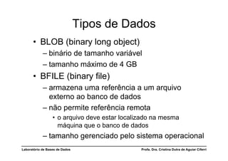 Tipos de Dados
      •  BLOB (binary long object)
            –  binário de tamanho variável
            –  tamanho máximo de 4 GB
      •  BFILE (binary file)
            –  armazena uma referência a um arquivo
               externo ao banco de dados
            –  não permite referência remota
                  •  o arquivo deve estar localizado na mesma
                     máquina que o banco de dados
            –  tamanho gerenciado pelo sistema operacional
Laboratório de Bases de Dados                   Profa. Dra. Cristina Dutra de Aguiar Ciferri
 