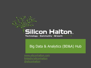 www.siliconhalton.com
linkedin/siliconhalton
@siliconhalton
Big Data & Analytics (BD&A) Hub
 