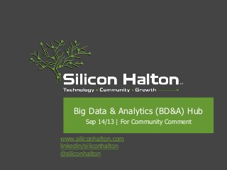 www.siliconhalton.com
linkedin/siliconhalton
@siliconhalton
Big Data & Analytics (BD&A) Hub
Sep 14/13 | For Community Comment
 