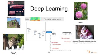 Good Fine-grained Classification 
Functions Artificial Neural Nets 
Can Learn 
Deep Learning 
LSTM for End to End Translation 
25 
Image Models 
Audio: “sh ang hai res taur aun ts” 
“hibiscus” “dahlia” 
Sensible Errors 
“dog” 
Embeddings are Powerful 
fallen 
draw 
fell 
drawn 
taken 
drew take 
took 
given 
give 
gave 
fall 
sentence rep 
PCA 
linearly separable! 
wrt subject vs object 
Generating Work in progress by Oriol Vinyals Generating Generating Image Captions from Pixels 
Human: A young girl asleep on the sofa cuddling a stuffed bear.! 
Model sample 1: A close up of a child holding a stuffed animal.! 
Model sample 2: A baby is asleep next to a teddy bear. 
Human: Model Model  