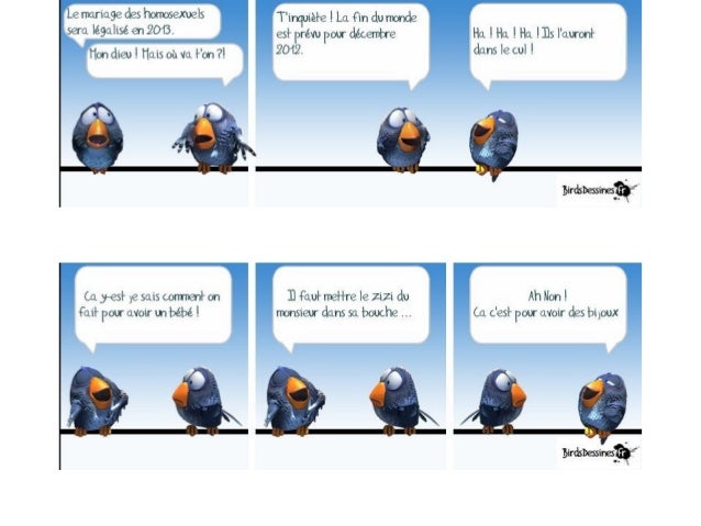 Birds 05
