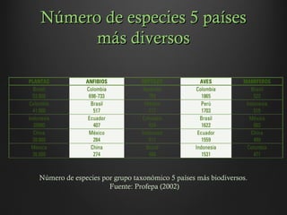 Número de especies 5 paísesNúmero de especies 5 países
más diversosmás diversos
Número de especies por grupo taxonómico 5 países más biodiversos.
Fuente: Profepa (2002)
 