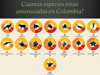 Cuantas especies estánCuantas especies están
amenazadas en Colombia?amenazadas en Colombia?
 
