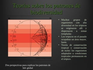 Teorías sobre los patrones deTeorías sobre los patrones de
biodiversidadbiodiversidad
Dos perspectivas para explicar los patrones de
bdv global
• Muchos grupos de
organismos con alta
diversidad en los trópicos
se originaron allí y
dispersaron a zonas
templadas
• Los trópicos en el pasado
ocupaban un área mayor,
hasta
• Teoría de conservación
tropical y conservación
de nicho: los organismos
adaptados a condiciones
tropicales permanecen en
el trópico.
 