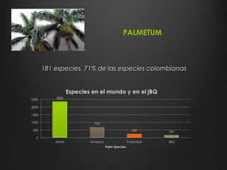 181 especies, 71% de las especies colombianas181 especies, 71% de las especies colombianas
PALMETUM
 