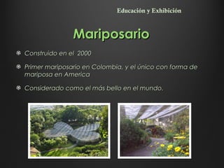 MariposarioMariposario
Construido en el 2000Construido en el 2000
Primer mariposario en Colombia, y el único con forma dePrimer mariposario en Colombia, y el único con forma de
mariposa en Americamariposa en America
Considerado como el más bello en el mundo.Considerado como el más bello en el mundo.
Educación y Exhibición
 