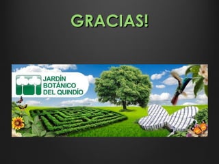 GRACIAS!GRACIAS!
 