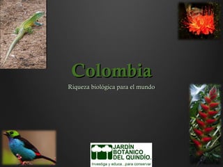 ColombiaColombia
Riqueza biológica para el mundoRiqueza biológica para el mundo
 