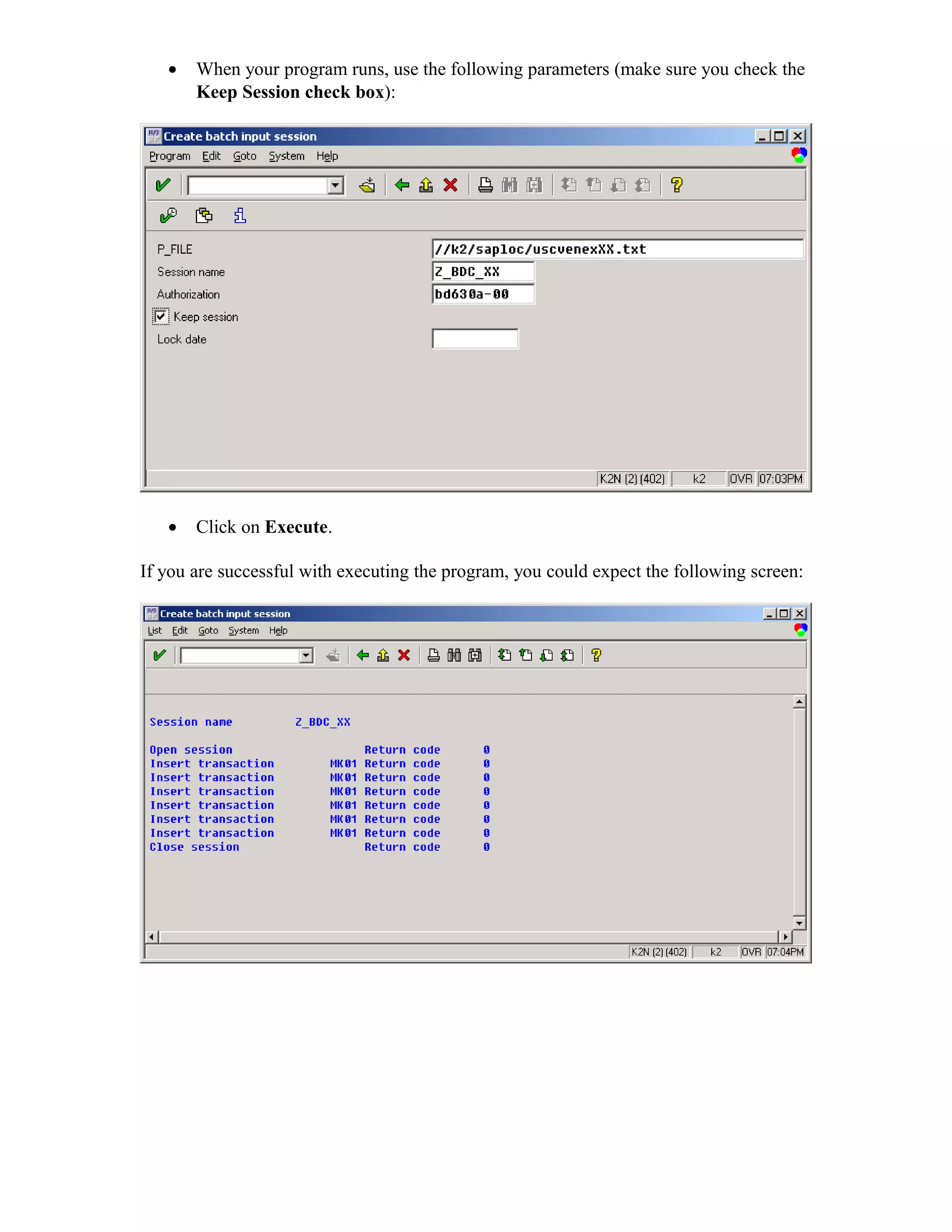 •   When your program runs, use the following parameters (make sure you check the
       Keep Session check box):




   •   Click on Execute.

If you are successful with executing the program, you could expect the following screen:
 