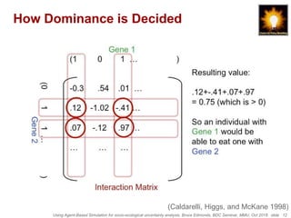 Using Agent-Based Simulation for socio-ecological uncertainty analysis, Bruce Edmonds, BDC Seminar, MMU, Oct 2018. slide 12
How Dominance is Decided
(Caldarelli, Higgs, and McKane 1998)
 