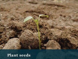 0 6
Plant seeds
 