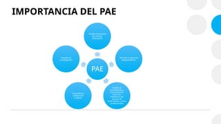 Comprehensive Overview of the Nursing Care Process (PAE) and Its ...