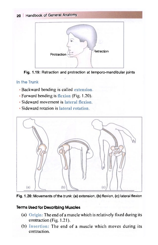 Bd chaurasia general anatomy pdf free download