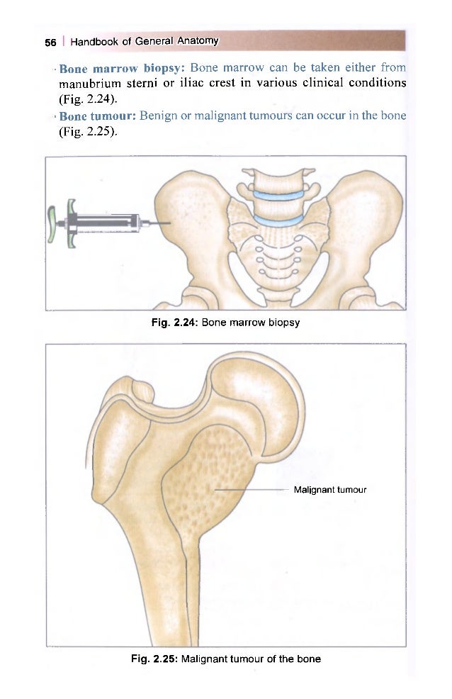 Download BD Chaurasia Handbook Of General Anatomy pdf Free