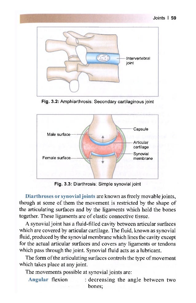 Bd Chaurasia General Anatomy Free Download