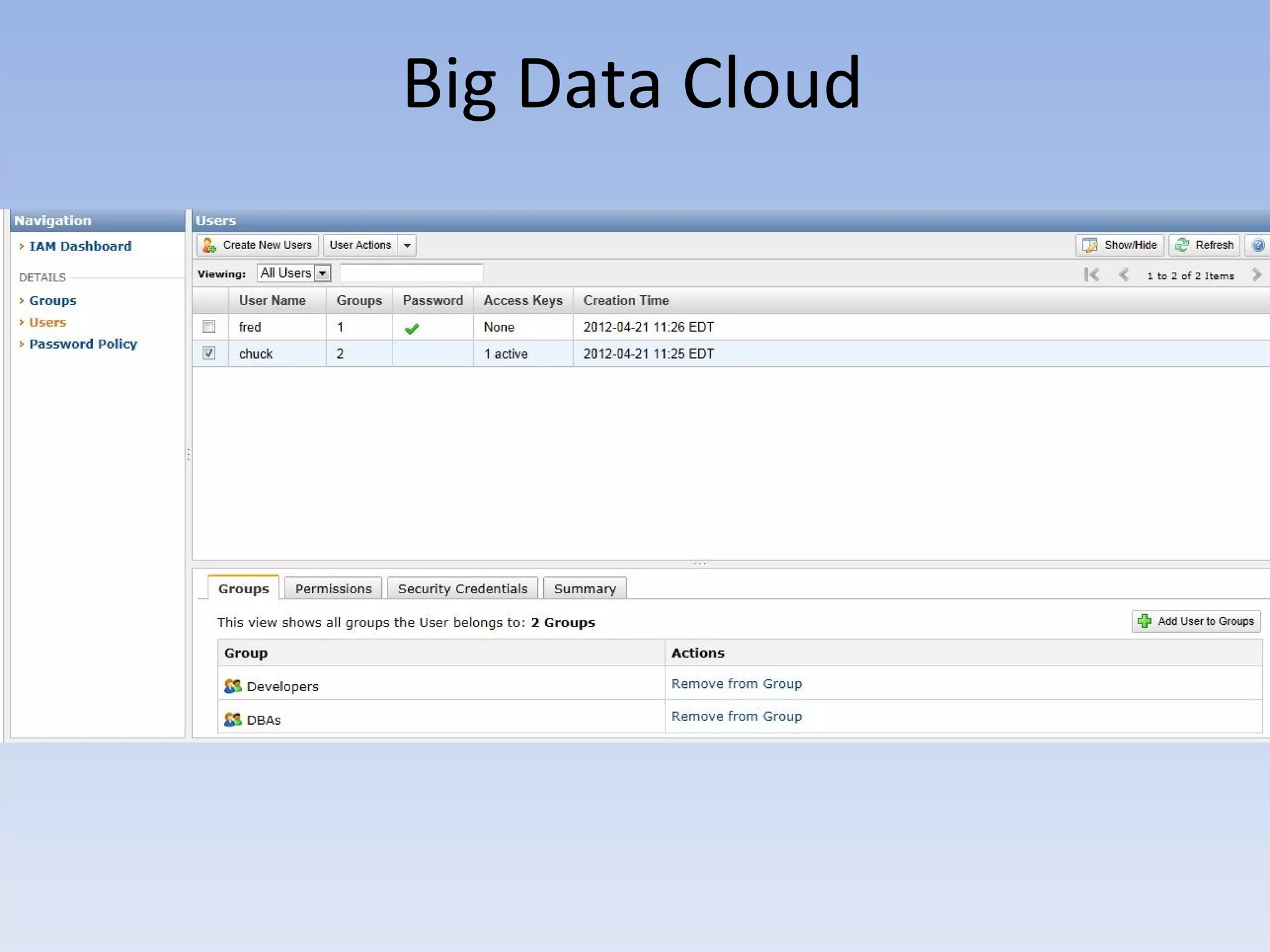Big Data Cloud
 