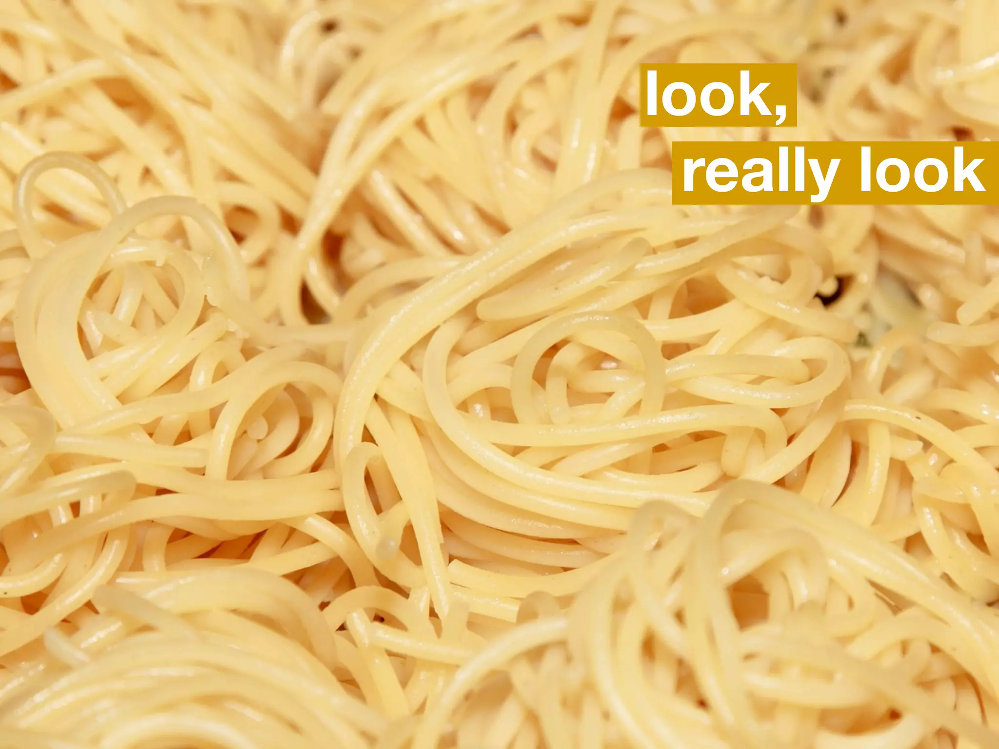 Don’t let broken content
break you.
 