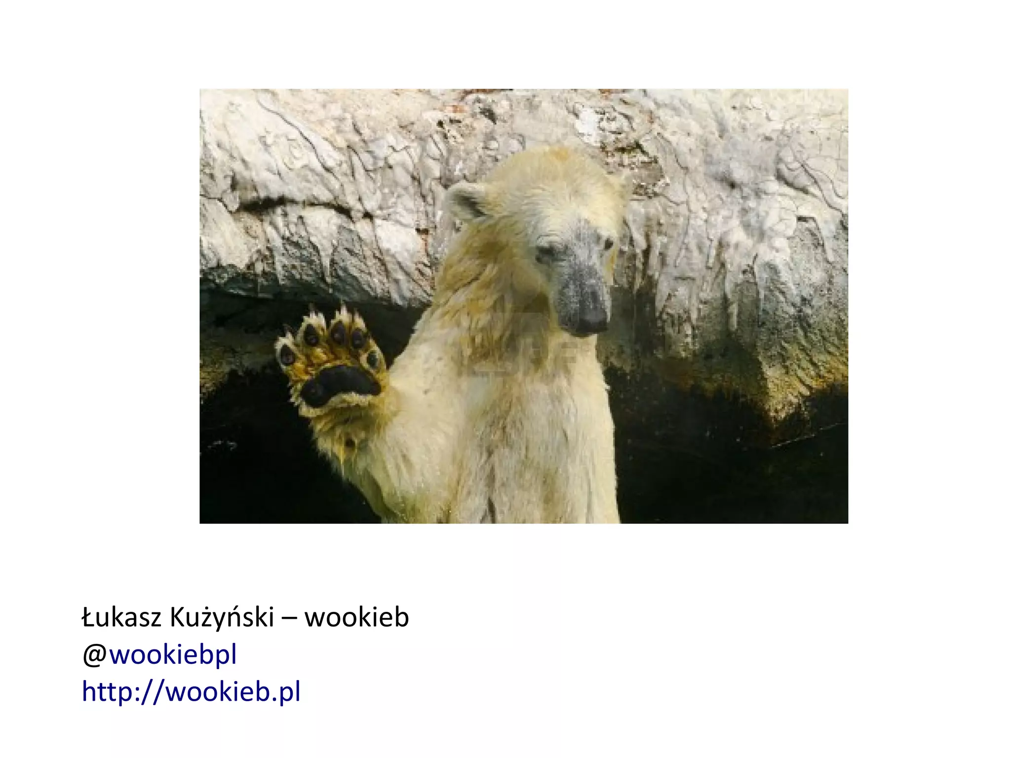 Łukasz Kużyński – wookieb
@wookiebpl
http://wookieb.pl
