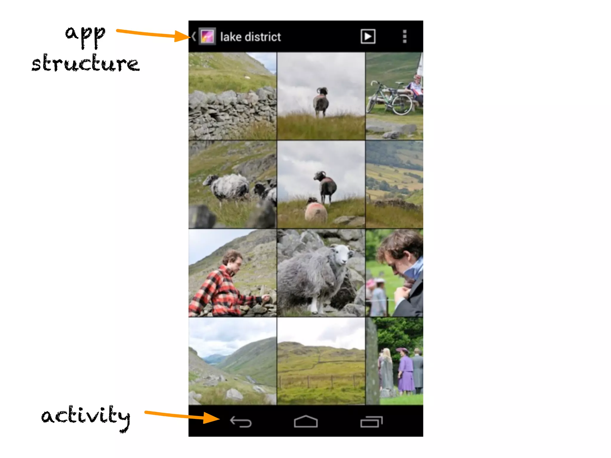 app
structure




activity
 