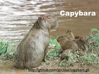 Capybara




http://github.com/jnicklas/capybara.git
 