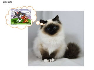 Diz o gato

 