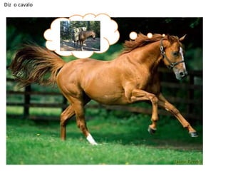 Diz o cavalo

 