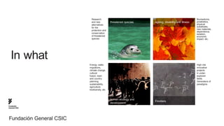 Research                                                                 Biomedicine,
                           and new            threatened species   ageing, disability and illness   prosthetics,
                           alternatives                                                             physical
                           for the                                                                  substitutes,
                                                                                                    new materials,
                           protection and
                                                                                                    dependence,
                           conservation                                                             isolation,
                           of threatened                                                            economic
                           species                                                                  impact, etc.




  In what
                         Energy, water,                                                             High-risk
                         migrations,                                                                innovative
                         climate change,                                                            projects
                         cultural                                                                   in under-
                         fusion, town                                                               explored
                         and country                                                                fields.
                         planning,                                                                  Generators of
                         sustainability,                                                            paradigms
                         agriculture,
                         biodiversity, etc.



                                              human ecology and
                                                                   Frontiers
                                              development
Fundación
General CSIC




Fundación General CSIC
 