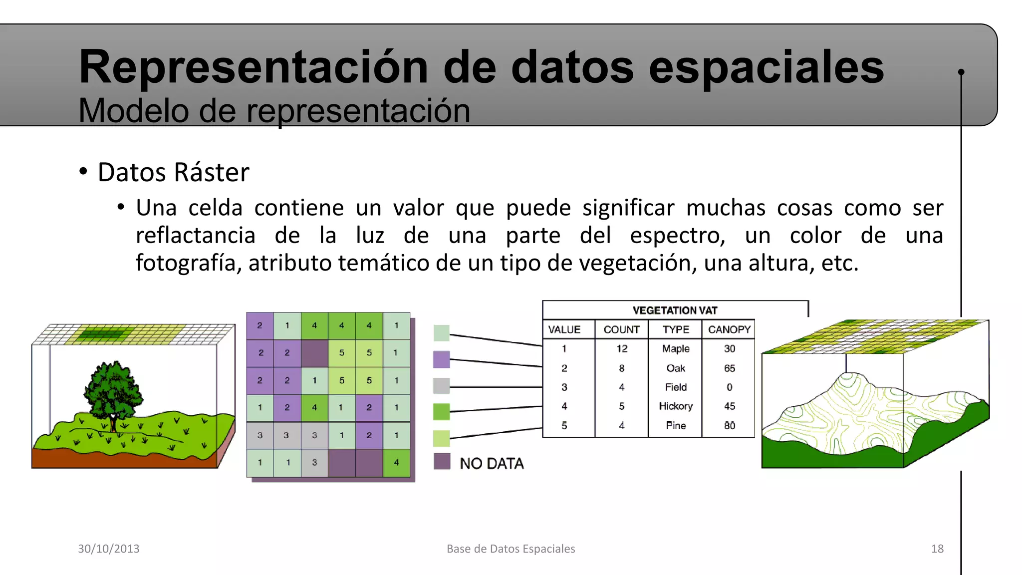Representación de datos espaciales
Modelo de representación
• Datos Ráster
• Una celda contiene un valor que puede significar muchas cosas como ser
reflactancia de la luz de una parte del espectro, un color de una
fotografía, atributo temático de un tipo de vegetación, una altura, etc.

30/10/2013

Base de Datos Espaciales

18

 