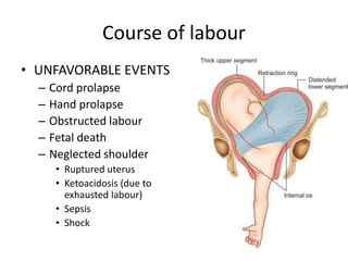 Course of labour
• UNFAVORABLE EVENTS
– Cord prolapse
– Hand prolapse
– Obstructed labour
– Fetal death
– Neglected shoulder
• Ruptured uterus
• Ketoacidosis (due to
exhausted labour)
• Sepsis
• Shock
 