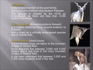Endangered species in Pakistan | PPT