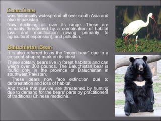 Endangered species in Pakistan | PPT