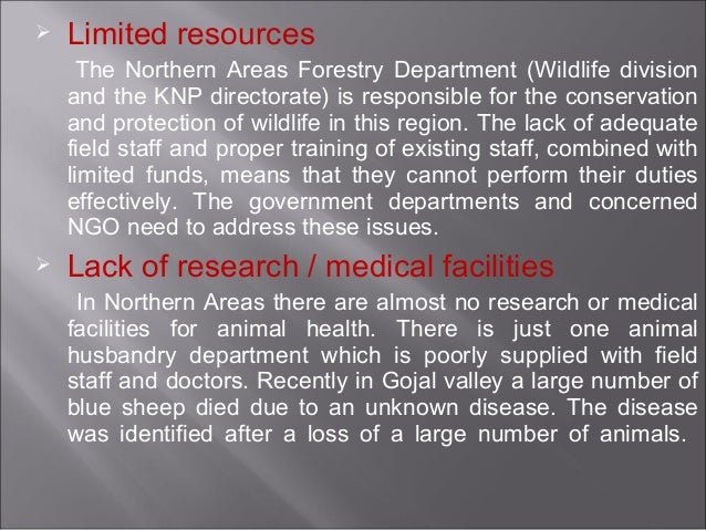 Unveiling The Plight: Critically Endangered Species In Pakistan – JJAY