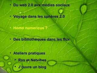 Du web 2.0 aux médias sociaux Voyage dans les sphères 2.0 Homo numericus ? Des bibliothèques dans les flux Ateliers pratiques   Rss et Netvibes J’ouvre un blog  