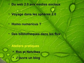 Du web 2.0 aux médias sociaux Voyage dans les sphères 2.0 Homo numericus ? Des bibliothèques dans les flux Ateliers pratiques  Rss et Netvibes J’ouvre un blog  