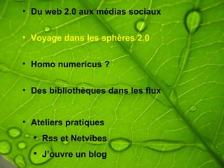 Du web 2.0 aux médias sociaux Voyage dans les sphères 2.0 Homo numericus ? Des bibliothèques dans les flux Ateliers pratiques   Rss et Netvibes J’ouvre un blog  