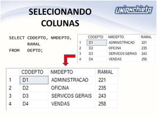 SELECIONANDO
COLUNAS
SELECT CDDEPTO, NMDEPTO,
RAMAL
FROM DEPTO;
 