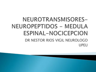 DR NESTOR RIOS VIGIL NEUROLOGO
UPEU
 