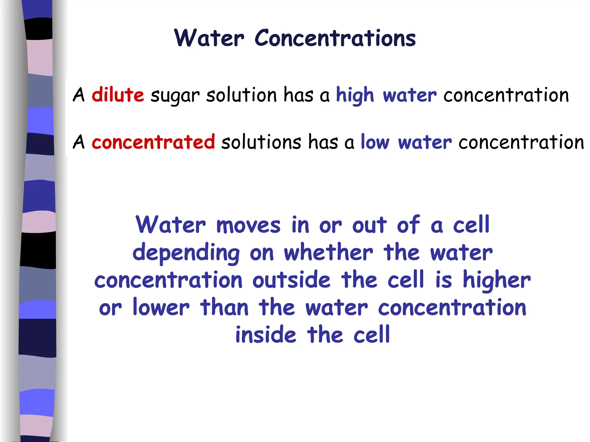 Water Concentrations A  dilute  sugar solution has a  high water  concentration A  concentrated  solutions has a  low water  concentration Water moves in or out of a cell depending on whether the water concentration outside the cell is higher or lower than the water concentration inside the cell 
