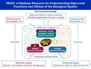 KEGG: a Database Resource for Understanding High-Level 
Functions and Utilities of the Biological System 
http://www.genome.jp/kegg/ 
 