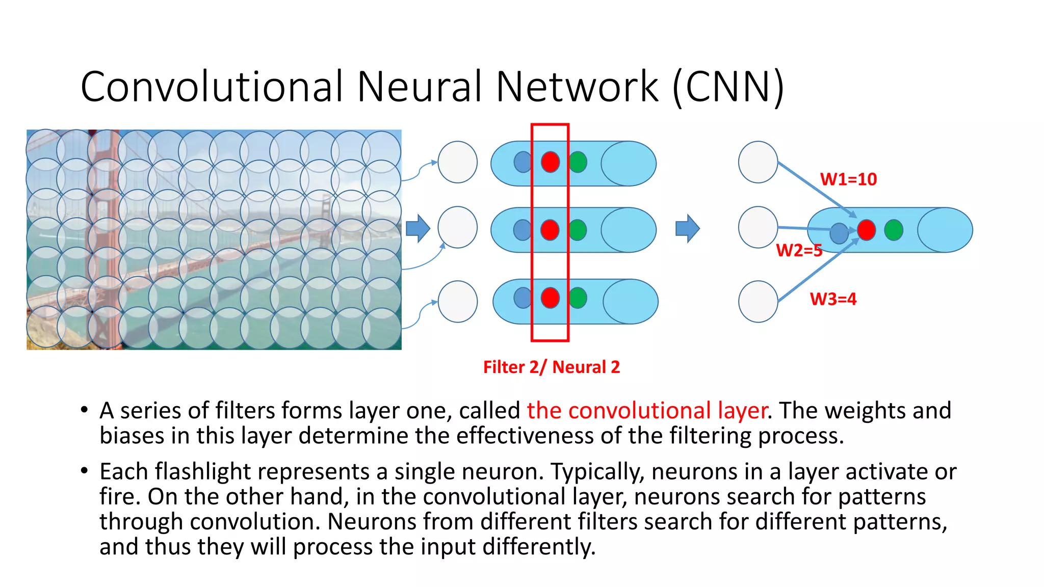 Convolutional Neural Network (CNN)
• A series of filters forms layer one, called the convolutional layer. The weights and
biases in this layer determine the effectiveness of the filtering process.
• Each flashlight represents a single neuron. Typically, neurons in a layer activate or
fire. On the other hand, in the convolutional layer, neurons search for patterns
through convolution. Neurons from different filters search for different patterns,
and thus they will process the input differently.
Filter 2/ Neural 2
W1=10
W3=4
W2=5
 
