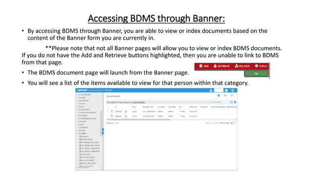 BDMS Slides.ppt
