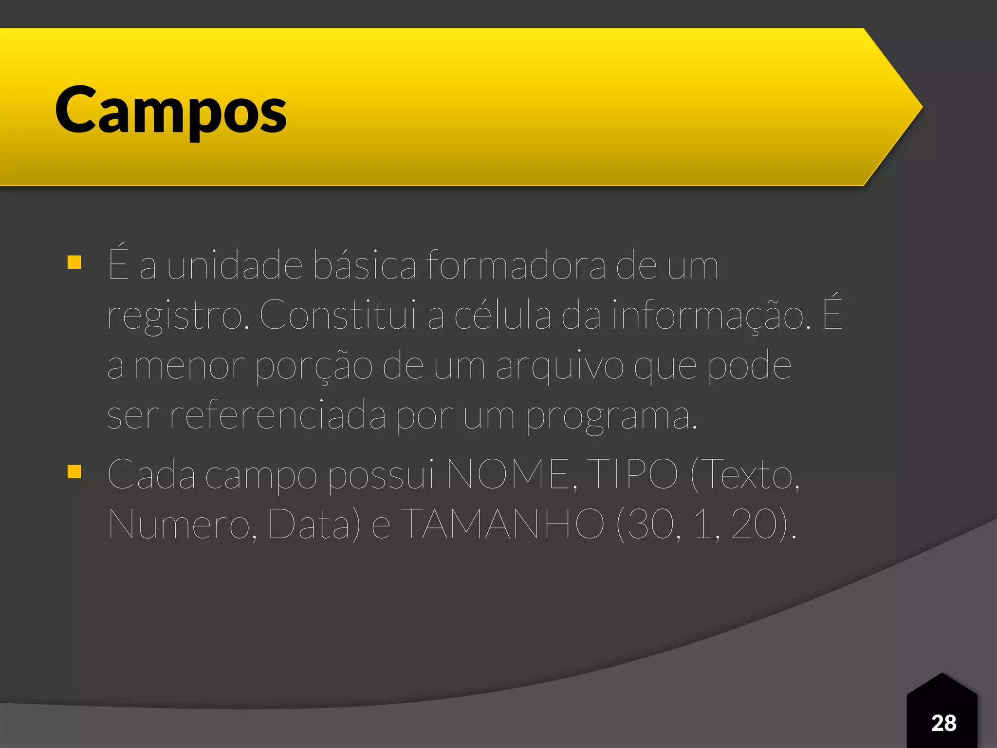Campos
 É a unidade básica formadora de um
registro. Constitui a célula da informação. É
a menor porção de um arquivo que pode
ser referenciada por um programa.
 Cada campo possui NOME, TIPO (Texto,
Numero, Data) e TAMANHO (30, 1, 20).
28
 